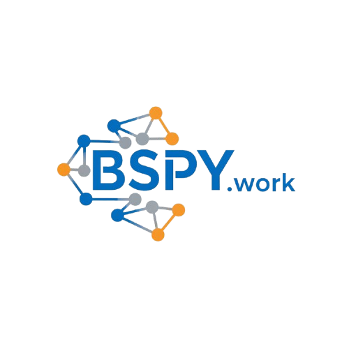 BSpyWork